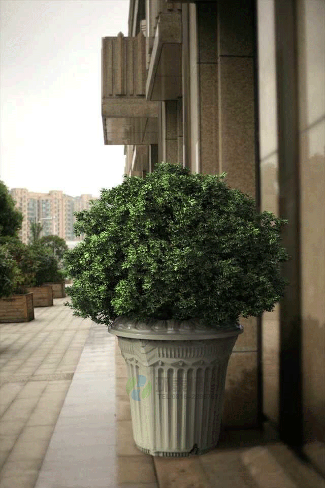 古典式新款花